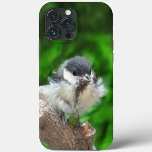 Tidi my Bird the Parus Major iPhone 13 Pro Max Case