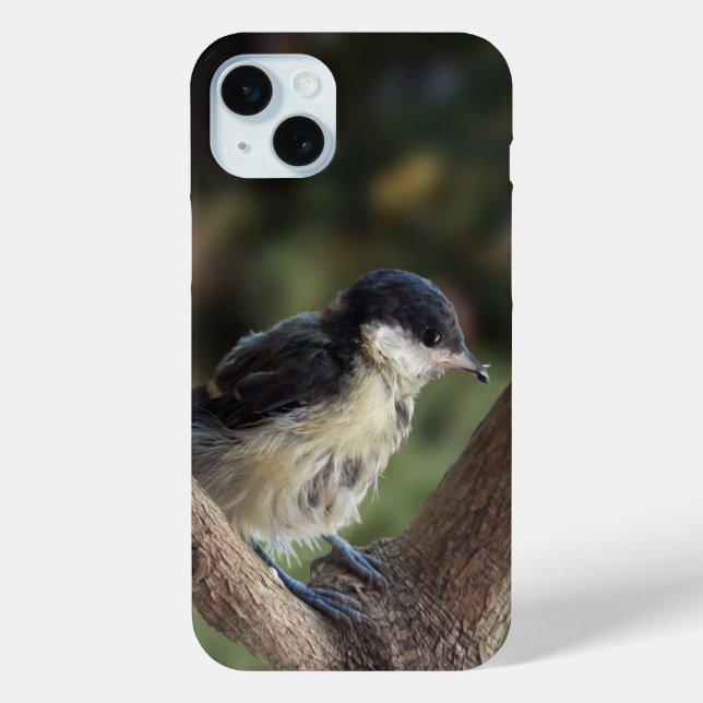Tidi my Bird the Parus Major Case-Mate iPhone Case (Back)