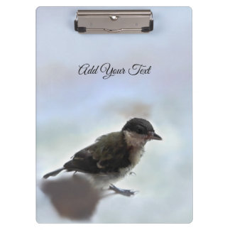 Tidi my Bird the Parus Major Clipboard