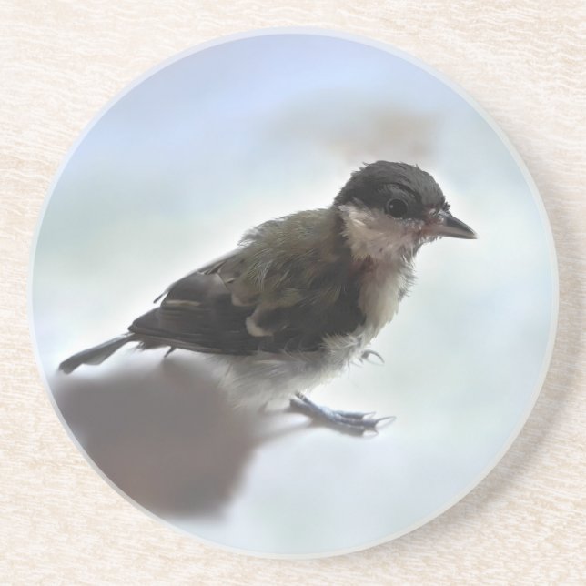 Tidi my Bird the Parus Major Coaster (Front)