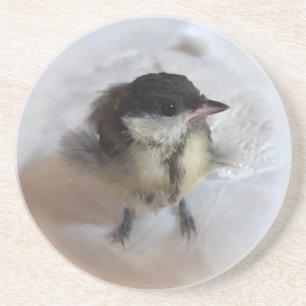 Tidi my Bird the Parus Major Coaster