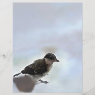 Tidi my Bird the Parus Major Custom Letterhead