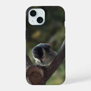 Tidi my Bird the Parus Major iPhone 15 Case