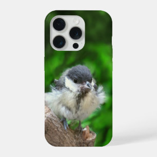 Tidi my Bird the Parus Major iPhone 15 Pro Case