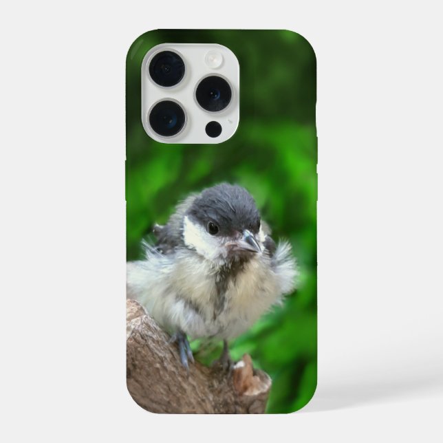 Tidi my Bird the Parus Major iPhone Case (Back)