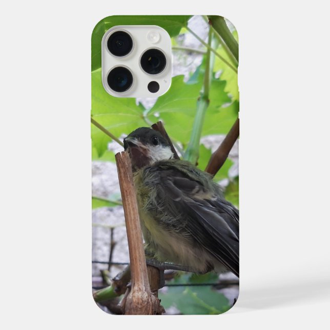 Tidi my Bird the Parus Major iPhone Case (Back)