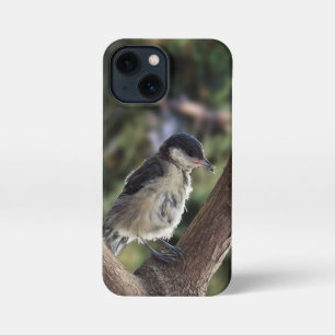 Tidi my Bird the Parus Major iPhone 13 Mini Case
