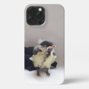 Tidi my Bird the Parus Major iPhone 13 Pro Max Case