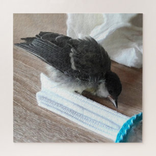 Tidi my Bird the Parus Major Jigsaw Puzzle