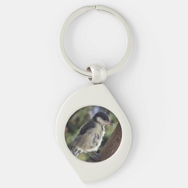 Tidi my Bird the Parus Major Key Ring (Front)