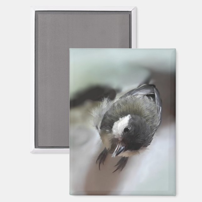 Tidi my Bird the Parus Major Magnet (Front/Back)