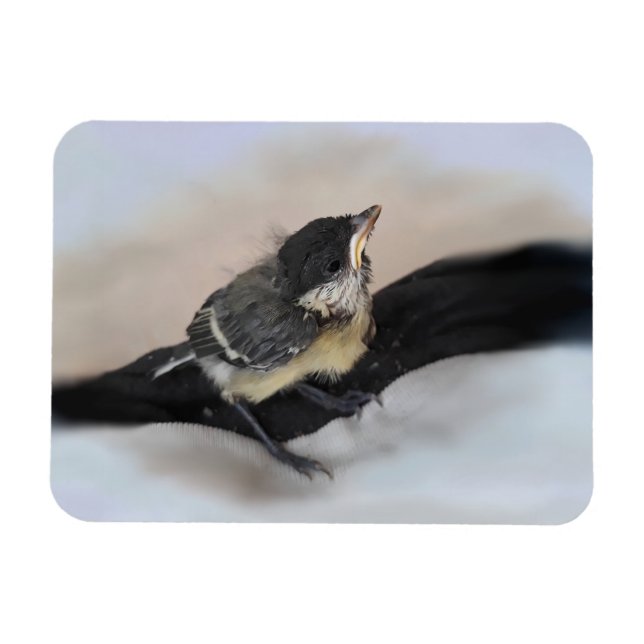 Tidi my Bird the Parus Major Magnet (Horizontal)