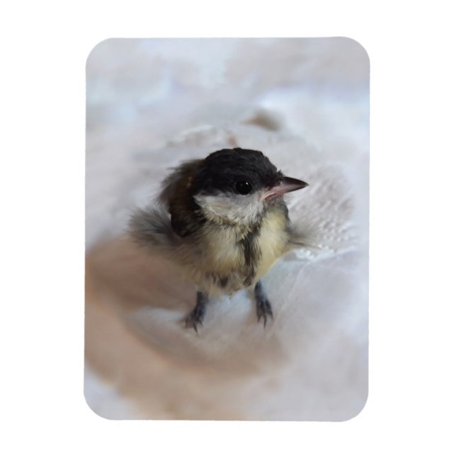 Tidi my Bird the Parus Major Magnet (Vertical)