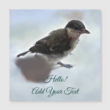 Tidi my Bird the Parus Major Magnetic Card