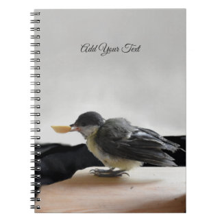 Tidi my Bird the Parus Major Notebook