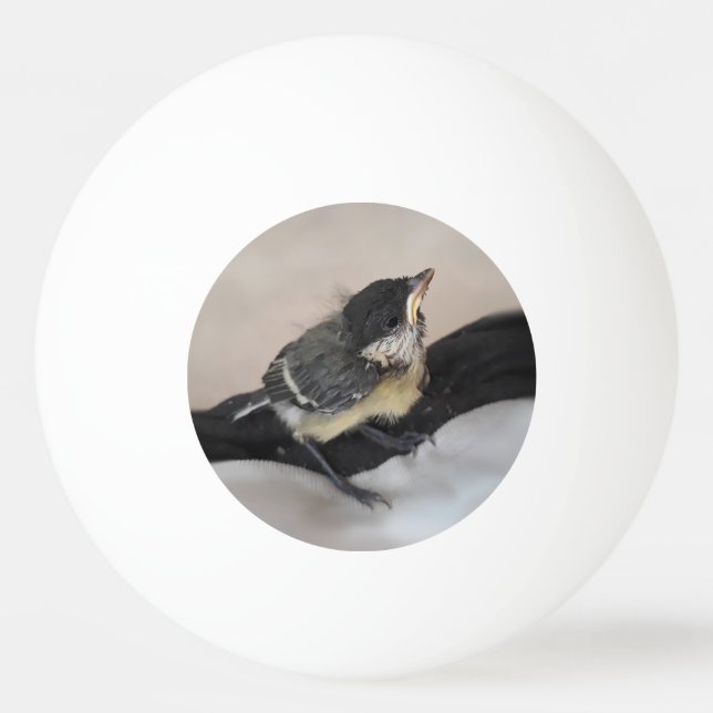 Tidi my Bird the Parus Major Ping Pong Ball (Front)