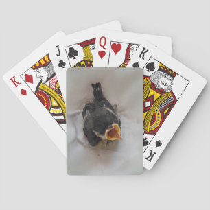 Tidi my Bird the Parus Major Playing Cards