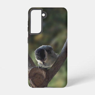 Tidi my Bird the Parus Major Samsung Galaxy Case