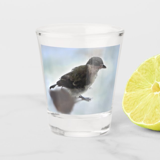 Tidi my Bird the Parus Major Shot Glass (Front)