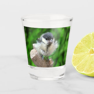 Tidi my Bird the Parus Major Shot Glass