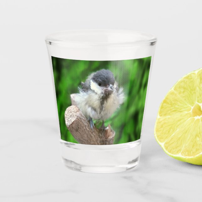 Tidi my Bird the Parus Major Shot Glass (Front)