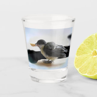 Tidi my Bird the Parus Major Shot Glass