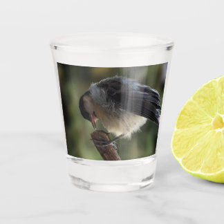 Tidi my Bird the Parus Major Shot Glass