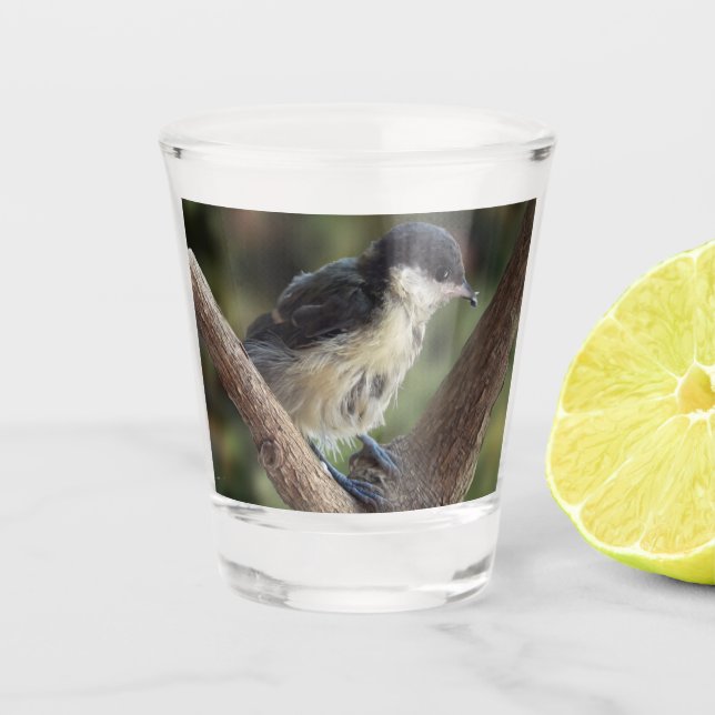 Tidi my Bird the Parus Major Shot Glass (Front)