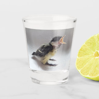 Tidi my Bird the Parus Major Shot Glass