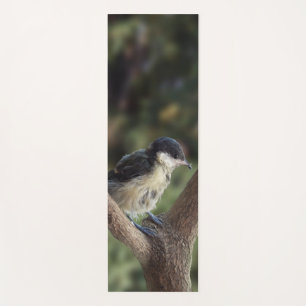 Tidi my Bird the Parus Major Yoga Mat