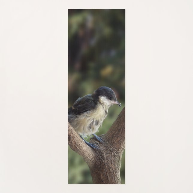 Tidi my Bird the Parus Major Yoga Mat (Front)