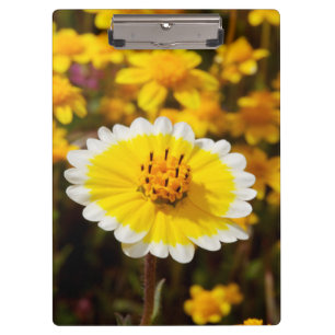 Tidy Tip Wildflowers Clipboard