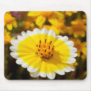 Tidy Tip Wildflowers Mouse Mat