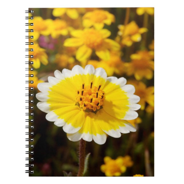 Tidy Tip Wildflowers Notebook (Front)