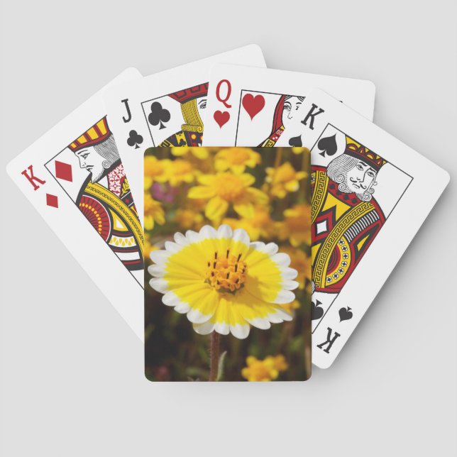 Tidy Tip Wildflowers Playing Cards (Back)
