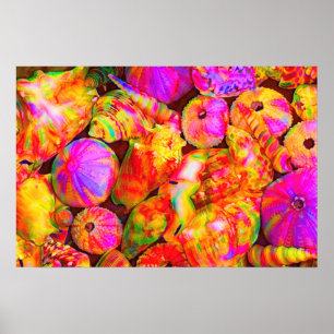 Tie Dyed Shells Poster