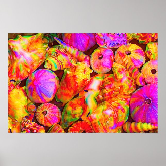 Tie Dyed Shells Poster (Front)
