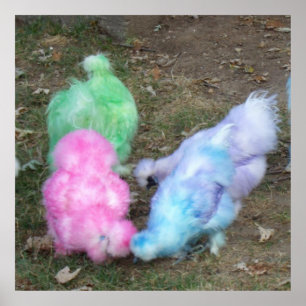 Tie Dyed Silkie Chickens in Pastel Easter Colors Poster