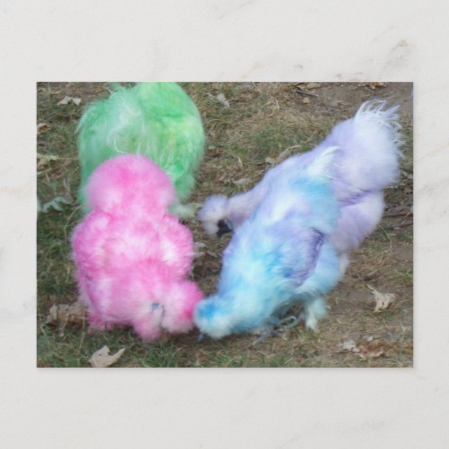 Tie Dyed Silkie Chickens in Pastel Easter Colours Holiday Postcard (Front)