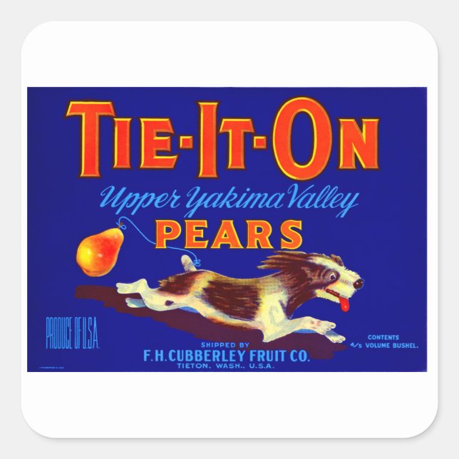 Tie-It-On Pears Square Sticker (Front)