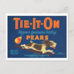 Tie It On Pears Vintage Fruit Crate Label Postcard