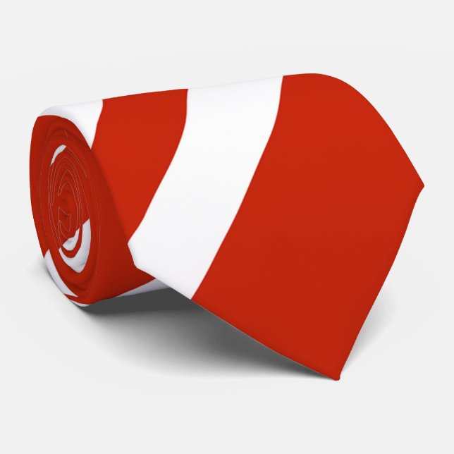 Tie/Red and White Stripes Tie (Rolled)