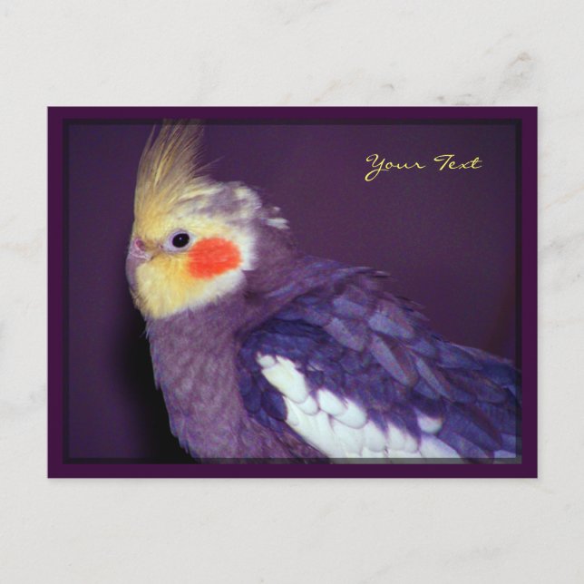 Tiel Postcards (Front)