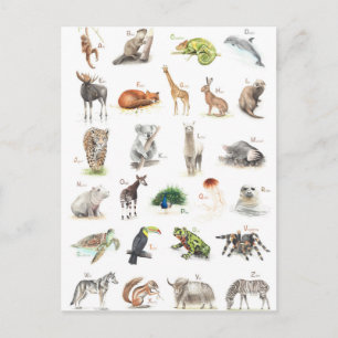 Tier ABC Postcard