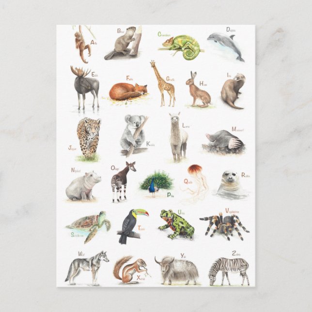 Tier ABC Postcard (Front)