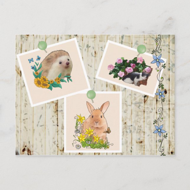 Tiere im Busch Postcard (Front)