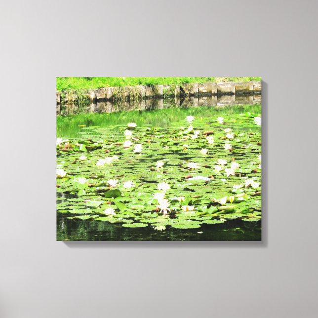 Tiergarten Water Lillies Canvas Print (Front)