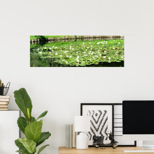 Tiergarten Water Lillies Poster