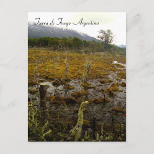 Tierra del Fuego - Argentina Postcard