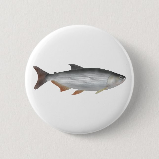 Tiete tetra 6 cm round badge (Front)